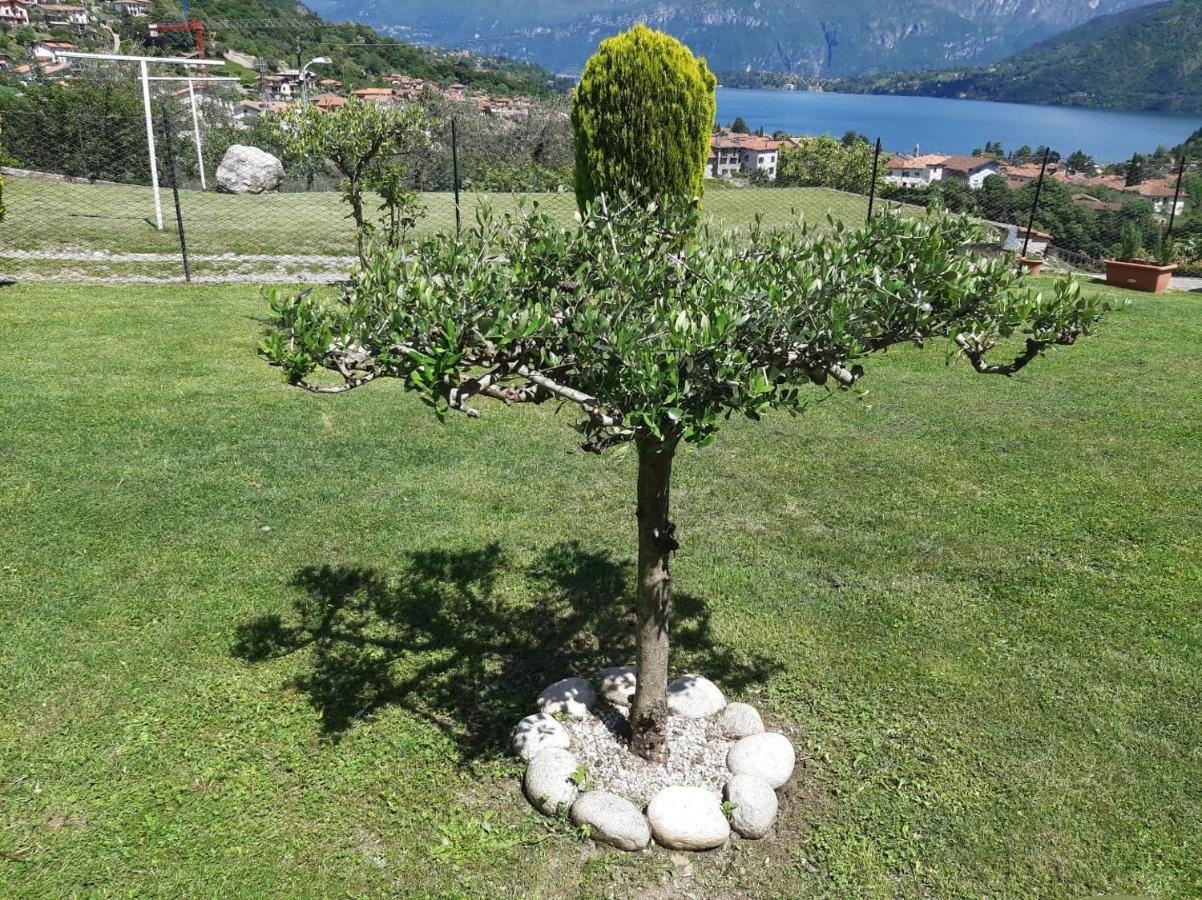 B&B Garzola Ossuccio Екстериор снимка