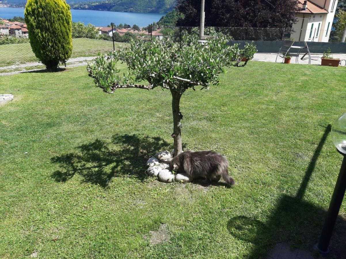 B&B Garzola Ossuccio Екстериор снимка